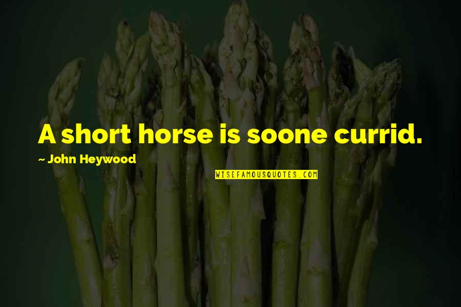 Hudnell St Quotes By John Heywood: A short horse is soone currid.