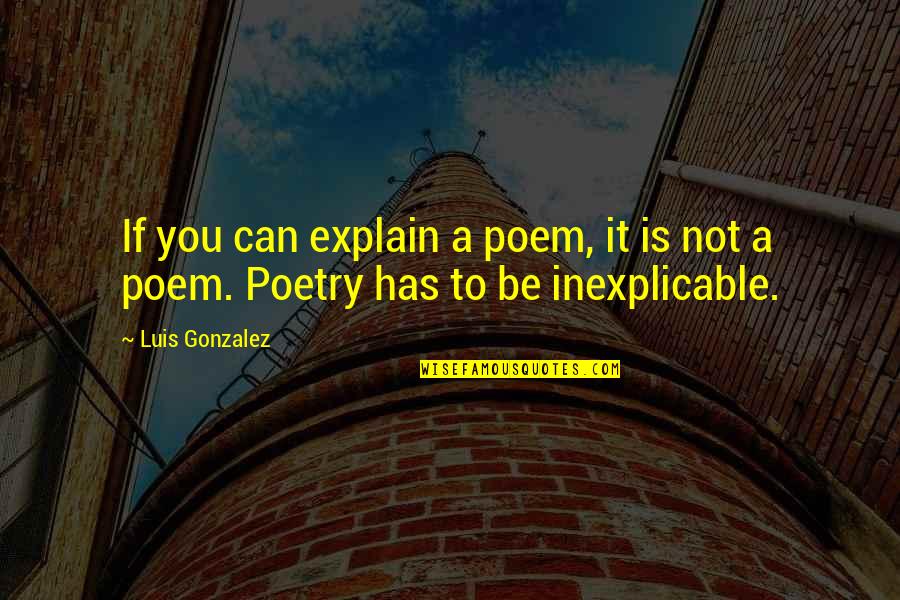 Hudnell St Quotes By Luis Gonzalez: If you can explain a poem, it is