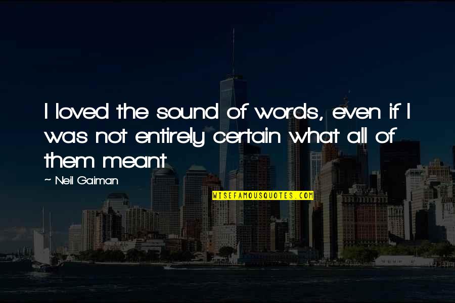 Hudolin Penitentiary Quotes By Neil Gaiman: I loved the sound of words, even if