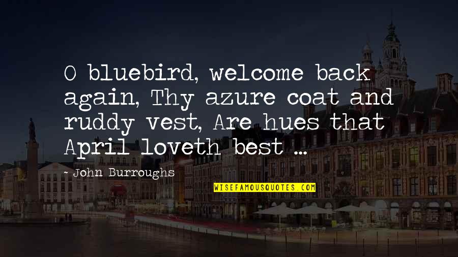 Hue Quotes By John Burroughs: O bluebird, welcome back again, Thy azure coat