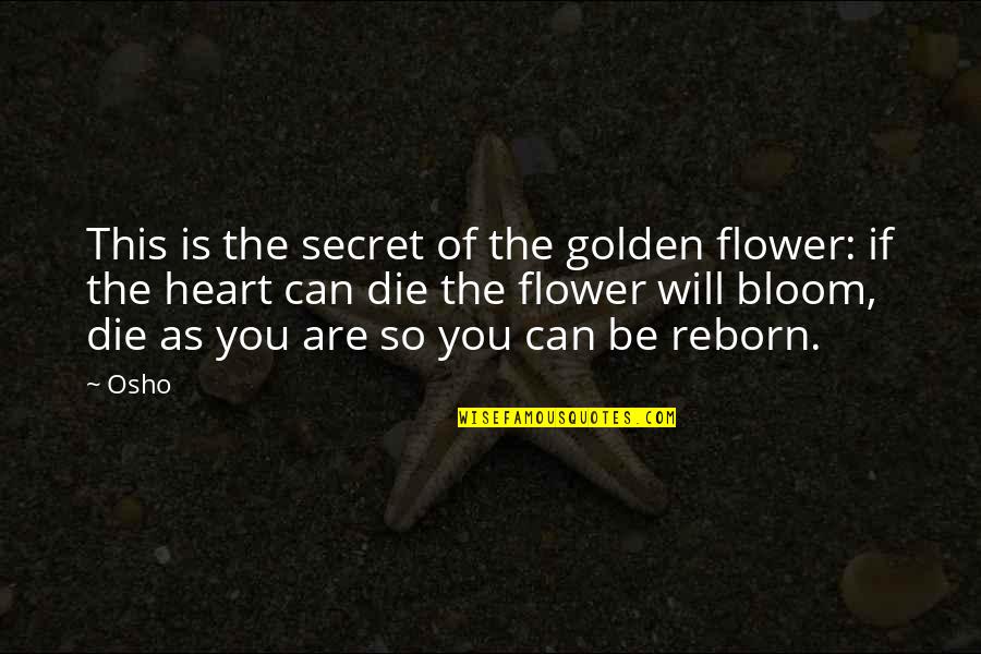 Huele A Peligro Quotes By Osho: This is the secret of the golden flower: