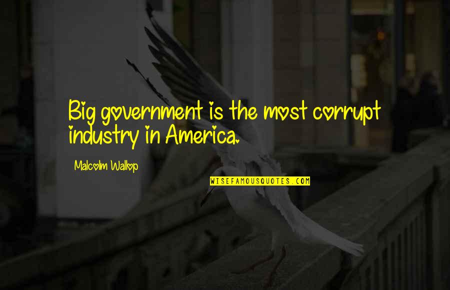 Huerta De Soto Quotes By Malcolm Wallop: Big government is the most corrupt industry in