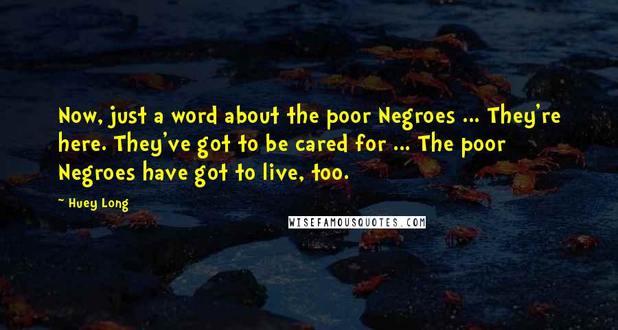 Huey Long quotes: Now, just a word about the poor Negroes ... They're here. They've got to be cared for ... The poor Negroes have got to live, too.