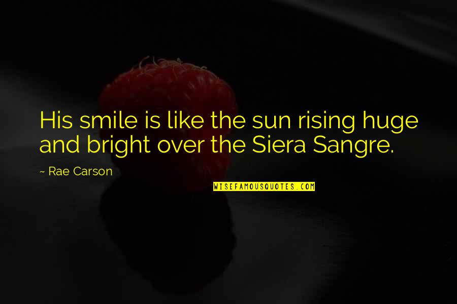 Huge Smile Quotes By Rae Carson: His smile is like the sun rising huge