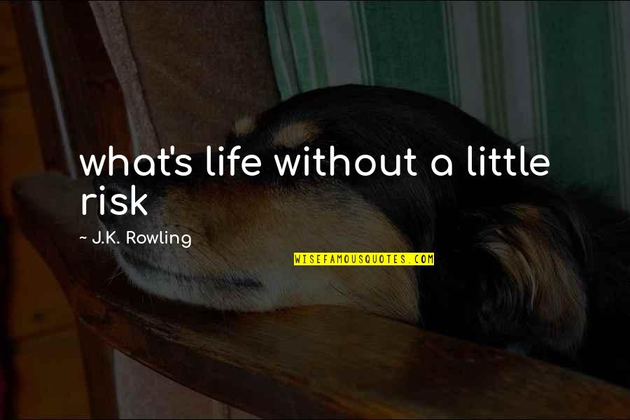 Hugel Garden Quotes By J.K. Rowling: what's life without a little risk Hugel Garden Quotes By J.K. Rowling: what's life without a little risk
