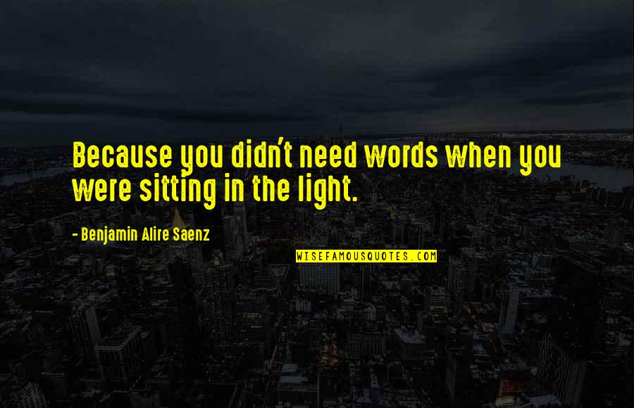 Hugely Thesaurus Quotes By Benjamin Alire Saenz: Because you didn't need words when you were
