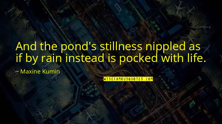 Hugging Images With Quotes By Maxine Kumin: And the pond's stillness nippled as if by