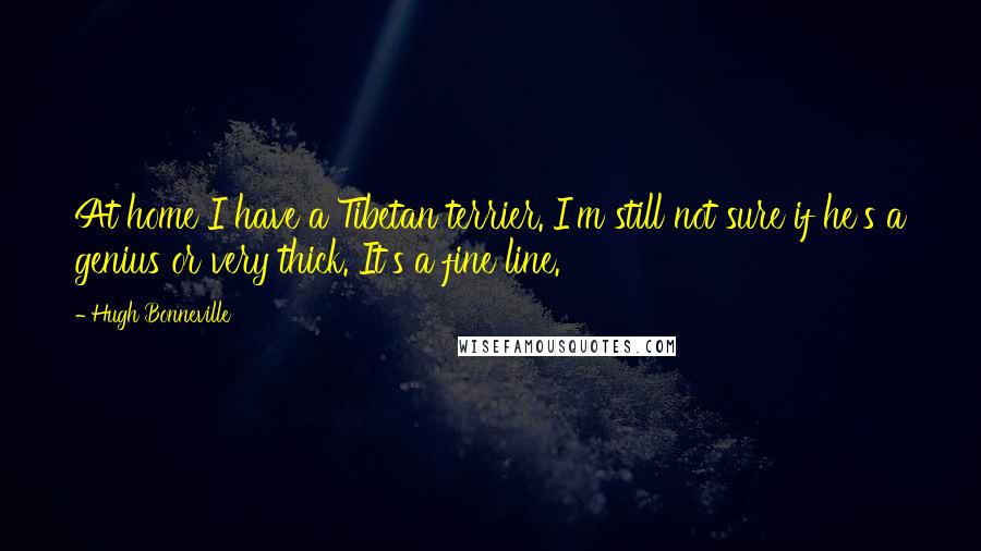 Hugh Bonneville quotes: At home I have a Tibetan terrier. I'm still not sure if he's a genius or very thick. It's a fine line.