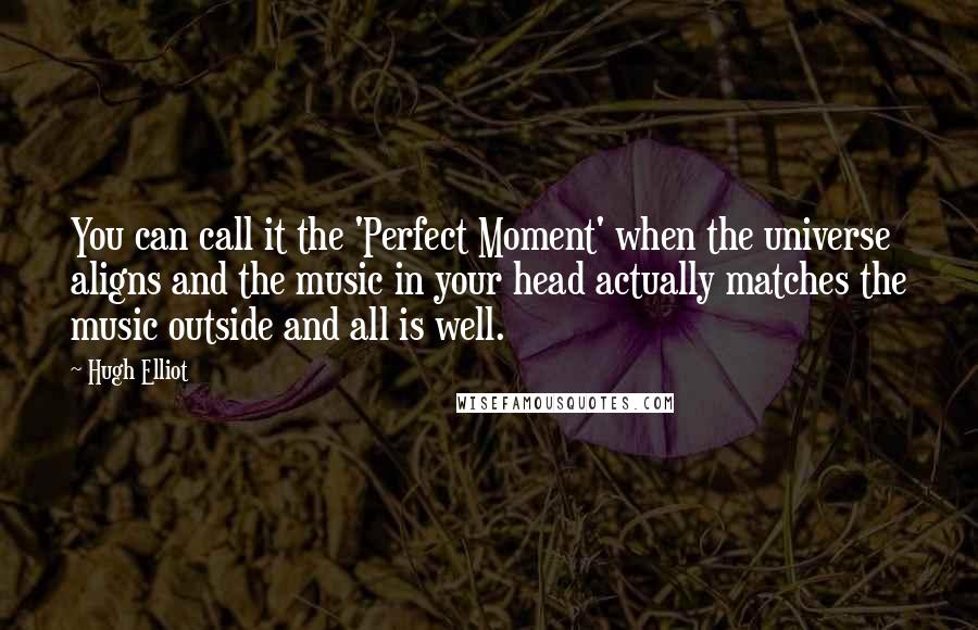 Hugh Elliot quotes: You can call it the 'Perfect Moment' when the universe aligns and the music in your head actually matches the music outside and all is well.