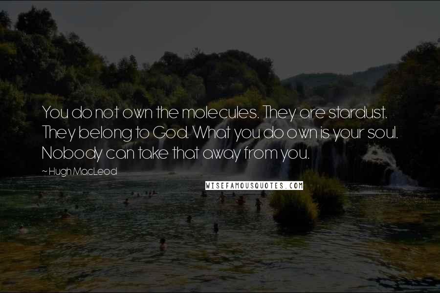 Hugh MacLeod quotes: You do not own the molecules. They are stardust. They belong to God. What you do own is your soul. Nobody can take that away from you.