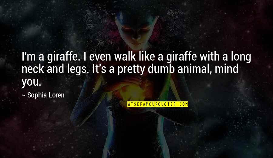 Hugh Newell Jacobsen Quotes By Sophia Loren: I'm a giraffe. I even walk like a