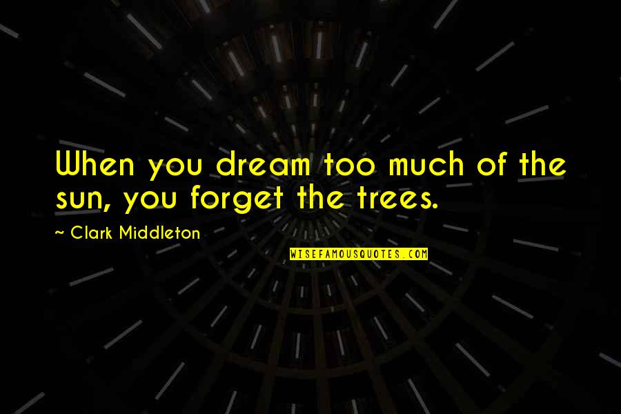Hugh Troyer Quotes By Clark Middleton: When you dream too much of the sun, Hugh Troyer Quotes By Clark Middleton: When you dream too much of the sun,