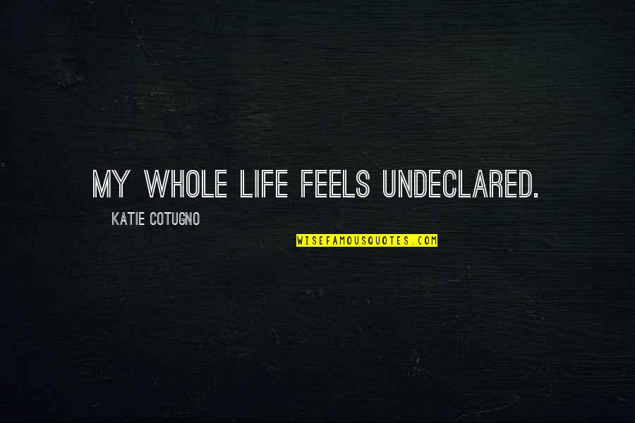Hughley Dl Quotes By Katie Cotugno: My whole life feels undeclared.