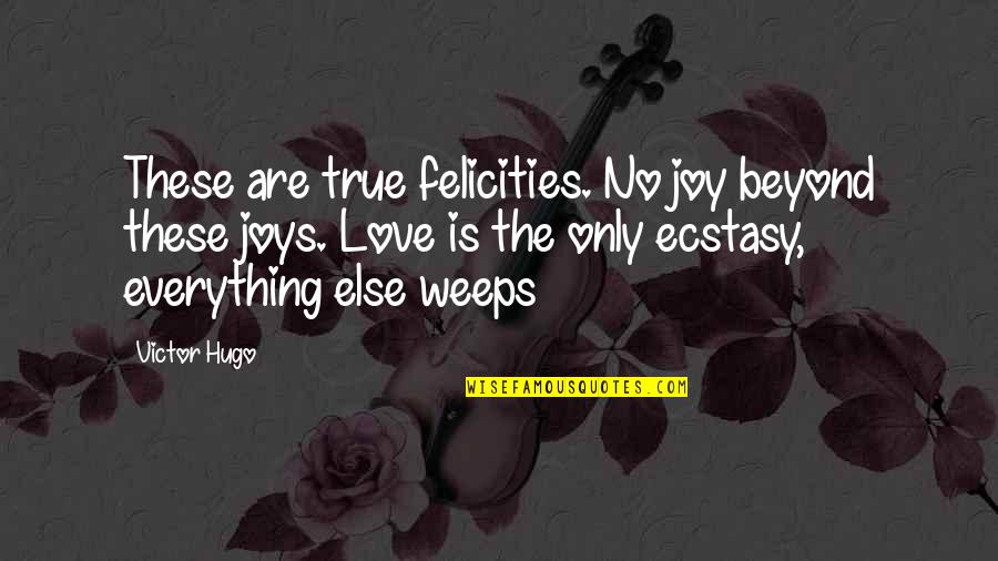 Hugo Love Quotes By Victor Hugo: These are true felicities. No joy beyond these
