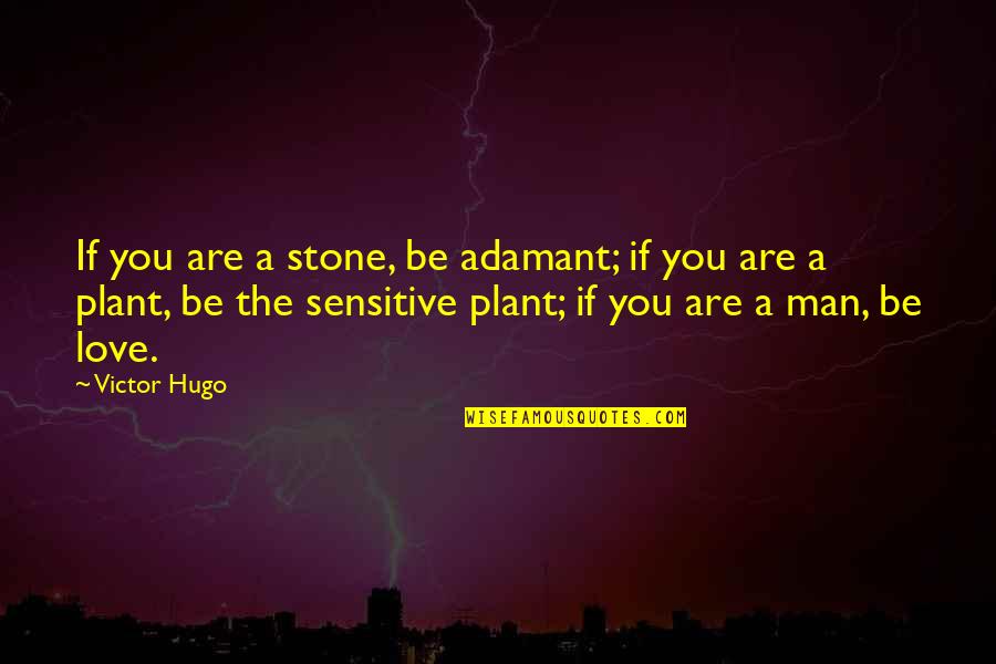 Hugo Love Quotes By Victor Hugo: If you are a stone, be adamant; if