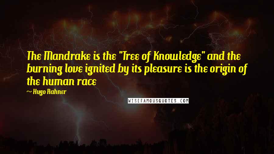 Hugo Rahner quotes: The Mandrake is the "Tree of Knowledge" and the burning love ignited by its pleasure is the origin of the human race
