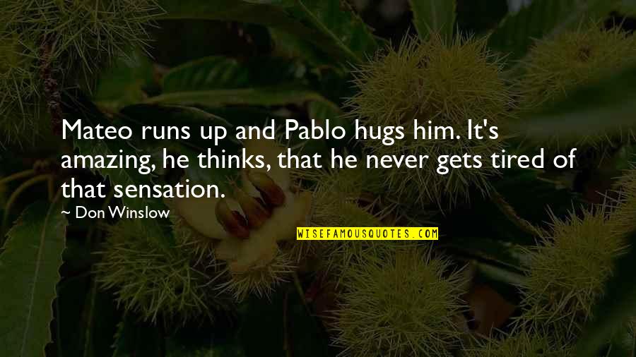Hugs Quotes By Don Winslow: Mateo runs up and Pablo hugs him. It's