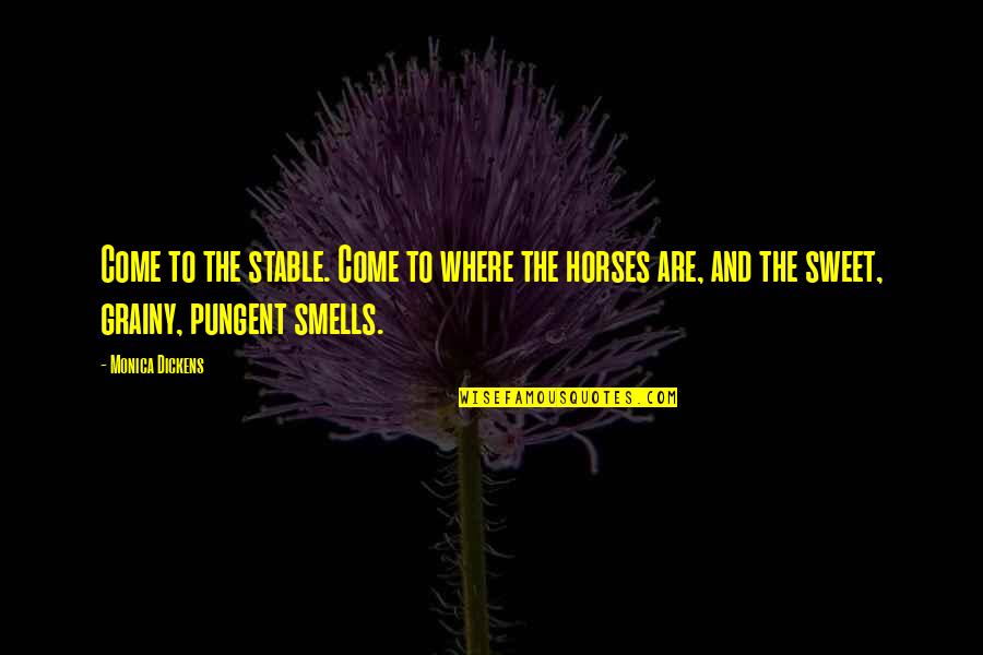 Huicholes Quotes By Monica Dickens: Come to the stable. Come to where the