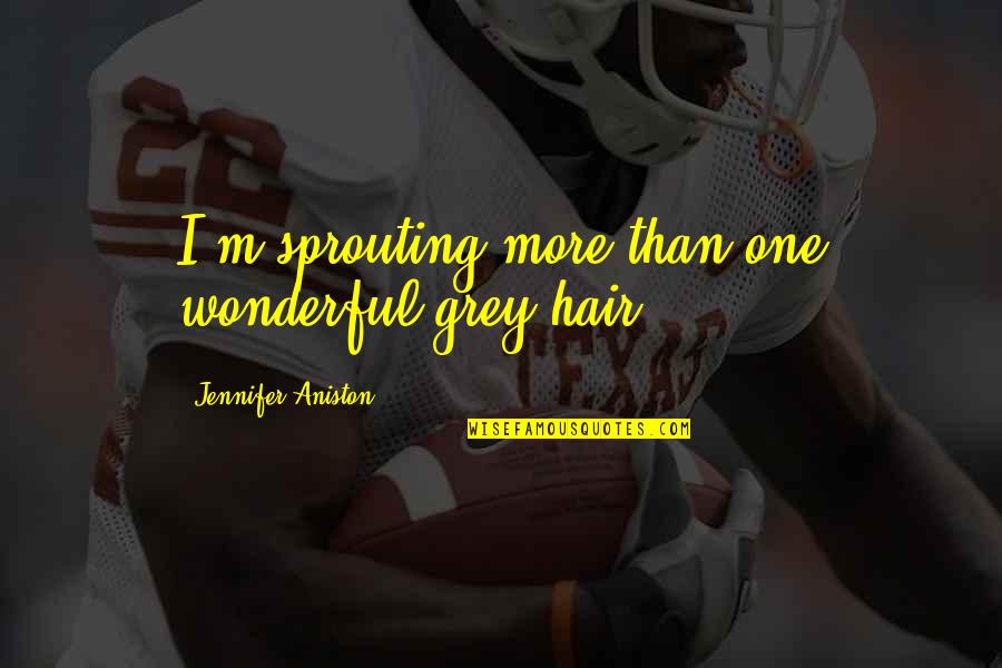 Huikai Tian Quotes By Jennifer Aniston: I'm sprouting more than one wonderful grey hair.