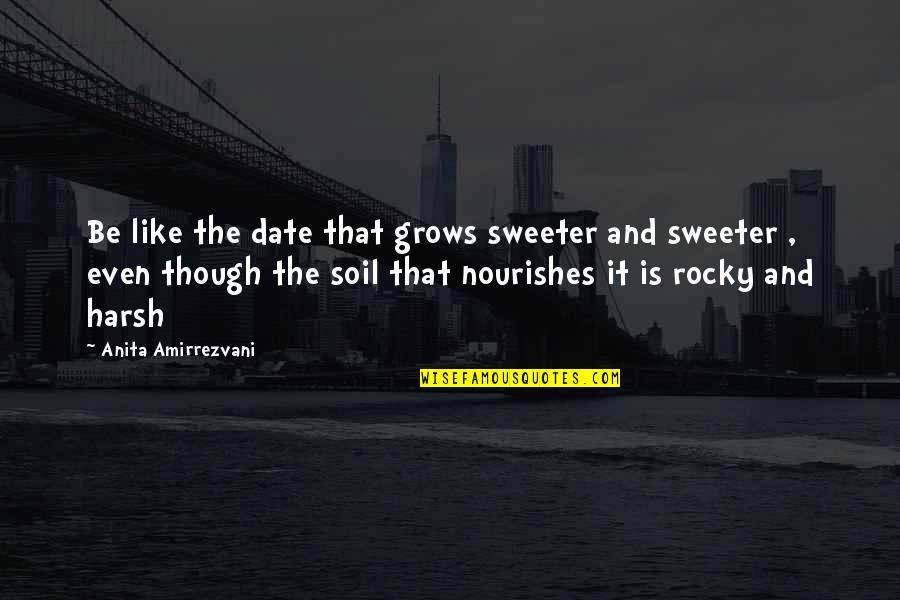 Hukka Bar Quotes By Anita Amirrezvani: Be like the date that grows sweeter and