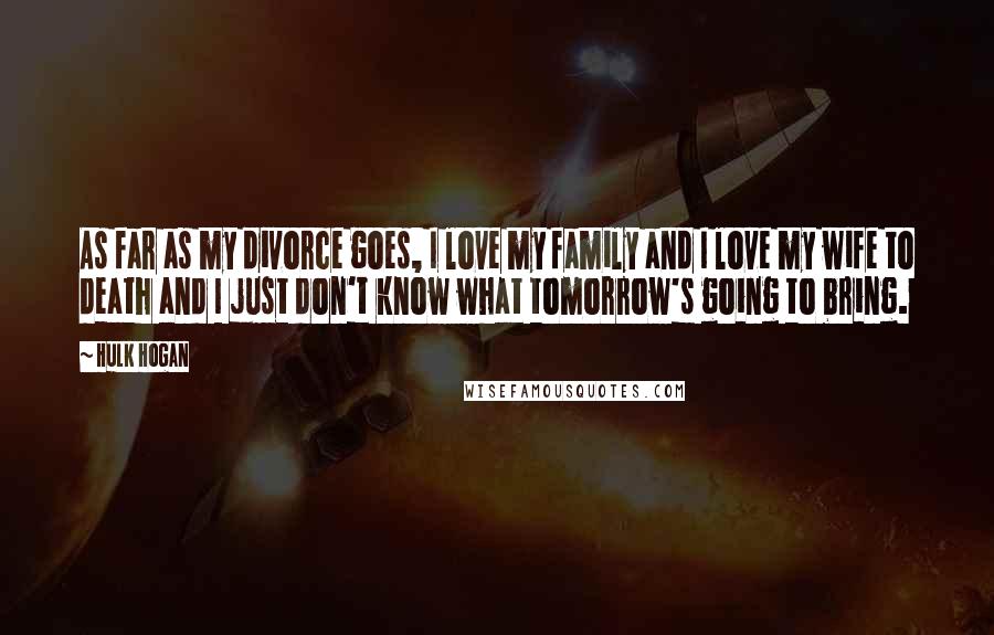 Hulk Hogan quotes: As far as my divorce goes, I love my family and I love my wife to death and I just don't know what tomorrow's going to bring.
