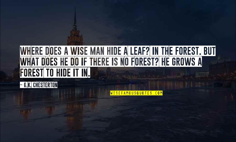 Hulslander Hearth Quotes By G.K. Chesterton: Where does a wise man hide a leaf? Hulslander Hearth Quotes By G.K. Chesterton: Where does a wise man hide a leaf?
