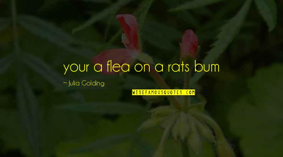 Hulsta Belgie Quotes By Julia Golding: your a flea on a rats bum
