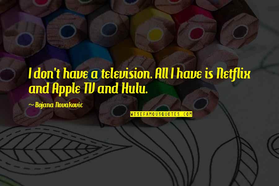 Hulu's Quotes By Bojana Novakovic: I don't have a television. All I have