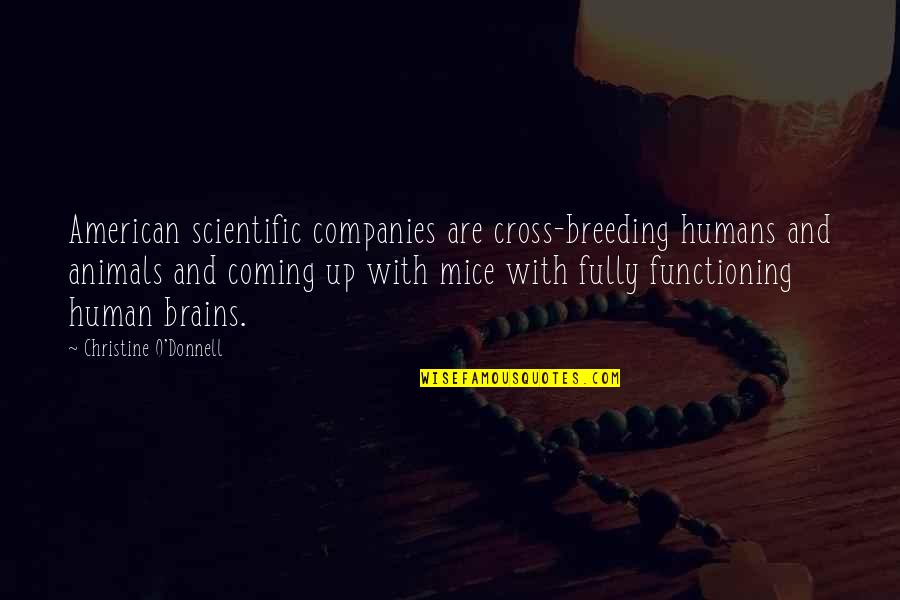 Human And Animal Quotes By Christine O'Donnell: American scientific companies are cross-breeding humans and animals