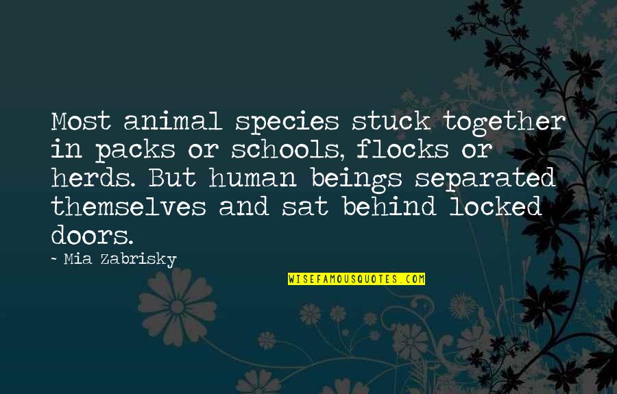Human And Animal Quotes By Mia Zabrisky: Most animal species stuck together in packs or