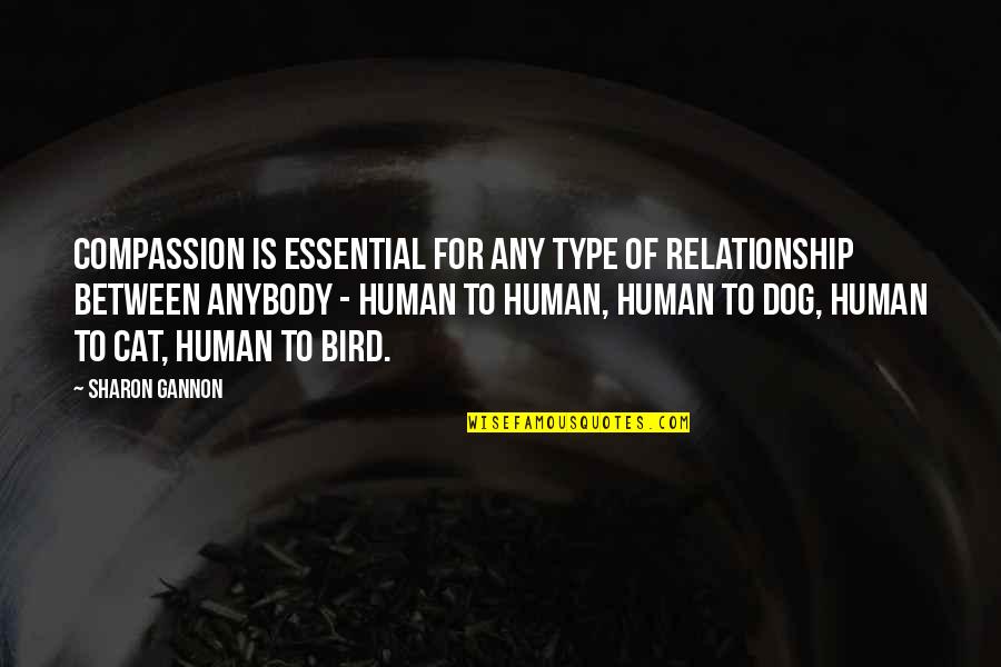 Human And Bird Relationship Quotes By Sharon Gannon: Compassion is essential for any type of relationship