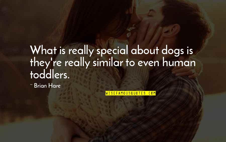 Human And Dog Quotes By Brian Hare: What is really special about dogs is they're
