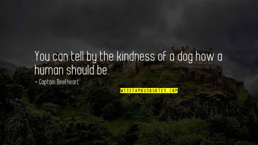 Human And Dog Quotes By Captain Beefheart: You can tell by the kindness of a