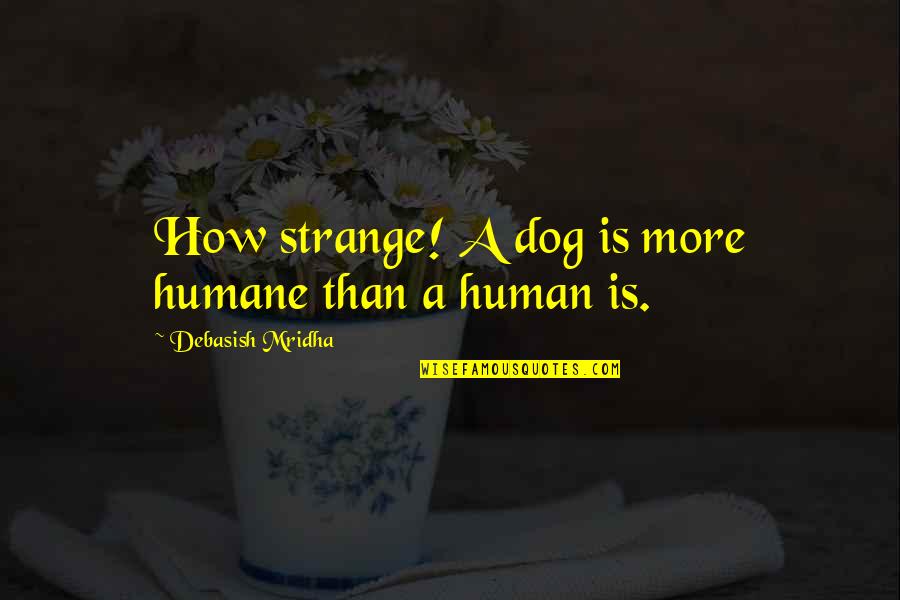 Human And Dog Quotes By Debasish Mridha: How strange! A dog is more humane than
