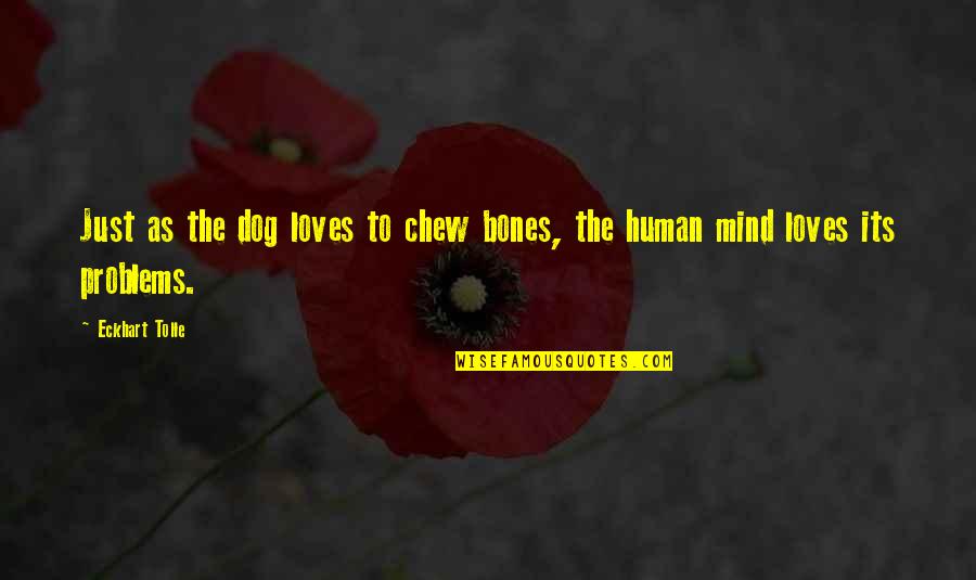 Human And Dog Quotes By Eckhart Tolle: Just as the dog loves to chew bones,