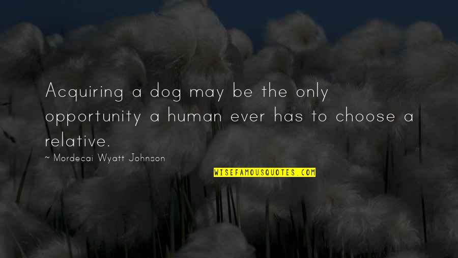 Human And Dog Quotes By Mordecai Wyatt Johnson: Acquiring a dog may be the only opportunity