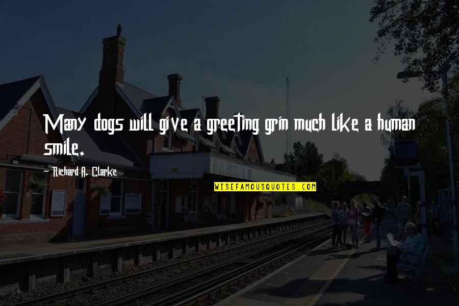 Human And Dog Quotes By Richard A. Clarke: Many dogs will give a greeting grin much