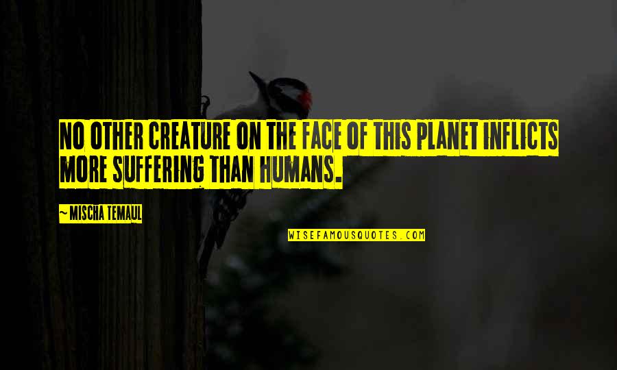 Human And Humanity Quotes By Mischa Temaul: No other creature on the face of this