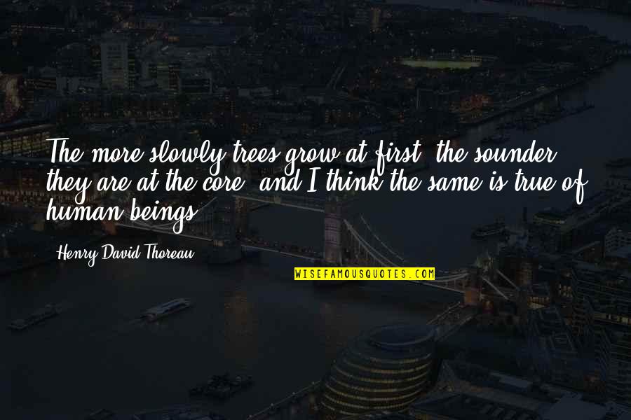 Human And Trees Quotes By Henry David Thoreau: The more slowly trees grow at first, the Human And Trees Quotes By Henry David Thoreau: The more slowly trees grow at first, the