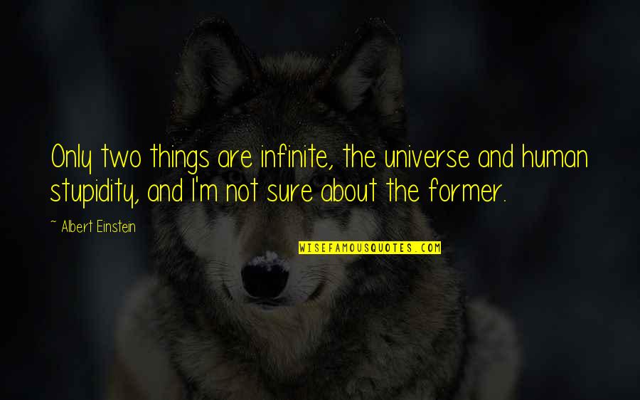 Human And Universe Quotes By Albert Einstein: Only two things are infinite, the universe and
