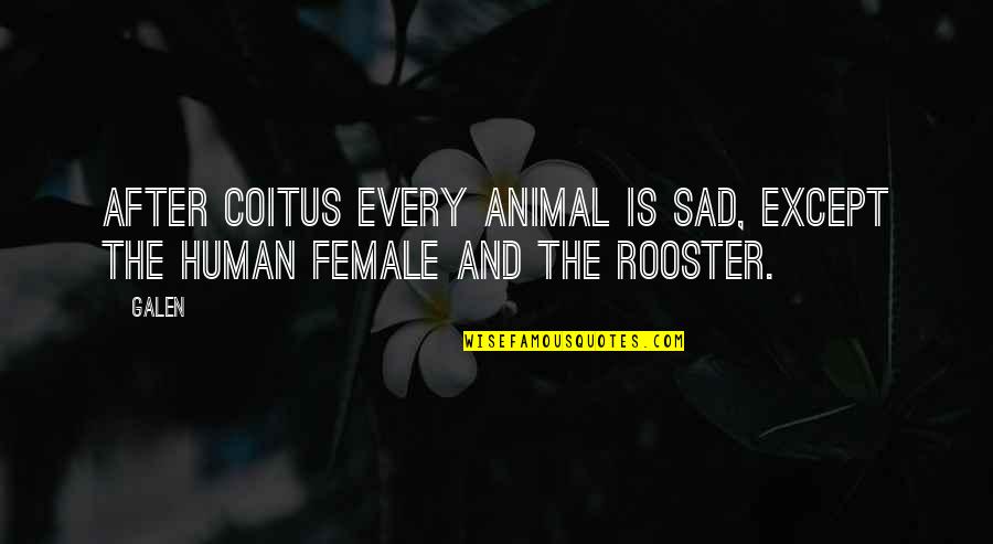 Human Animal Quotes By Galen: After coitus every animal is sad, except the
