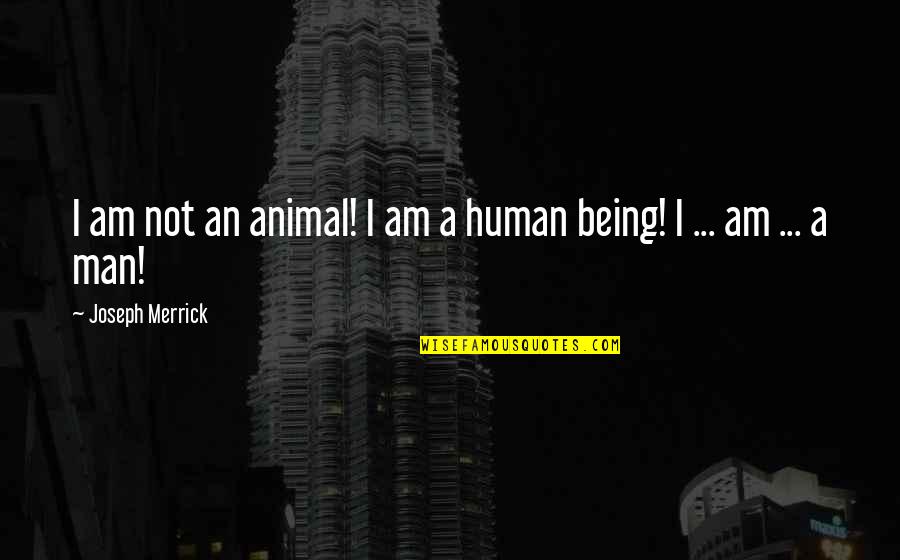 Human Animal Quotes By Joseph Merrick: I am not an animal! I am a