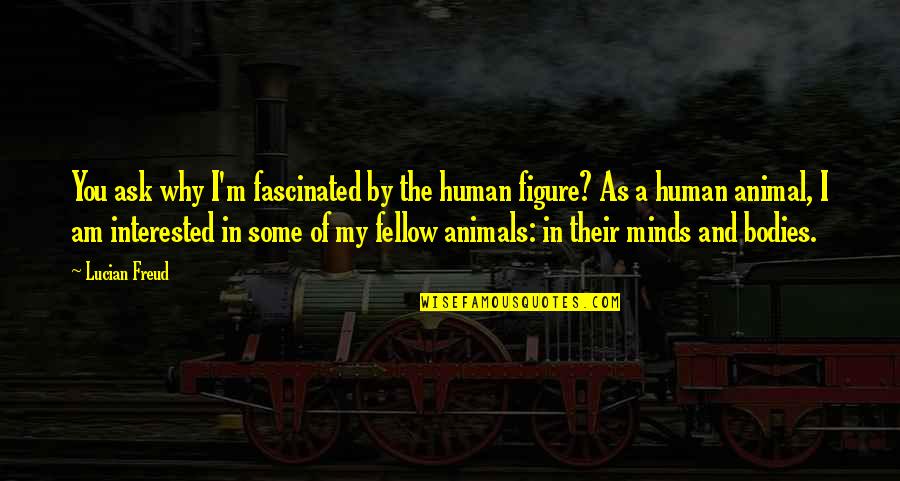 Human Animal Quotes By Lucian Freud: You ask why I'm fascinated by the human