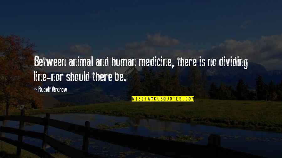 Human Animal Quotes By Rudolf Virchow: Between animal and human medicine, there is no