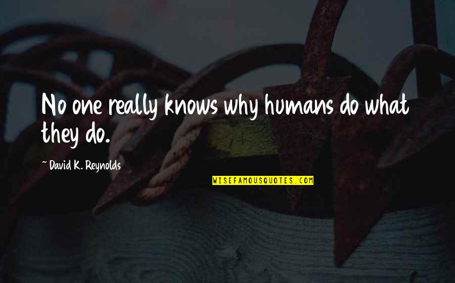 Human Behavior Psychology Quotes By David K. Reynolds: No one really knows why humans do what