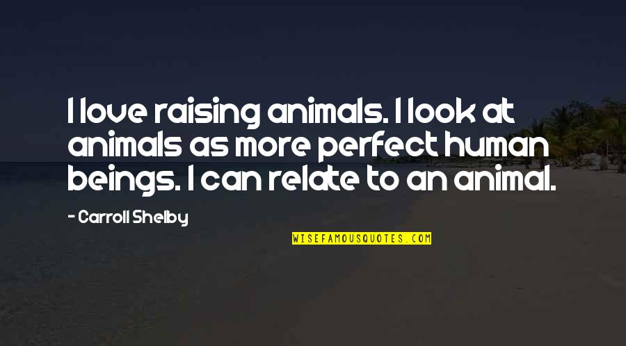 Human Beings And Animals Quotes By Carroll Shelby: I love raising animals. I look at animals