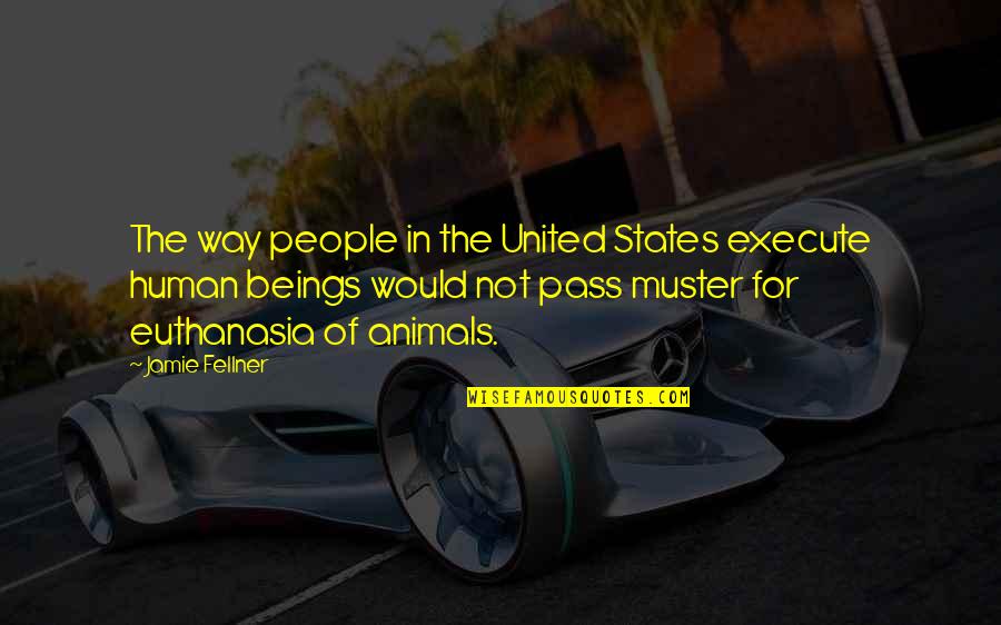 Human Beings And Animals Quotes By Jamie Fellner: The way people in the United States execute