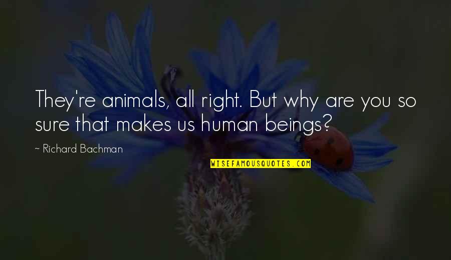 Human Beings And Animals Quotes By Richard Bachman: They're animals, all right. But why are you