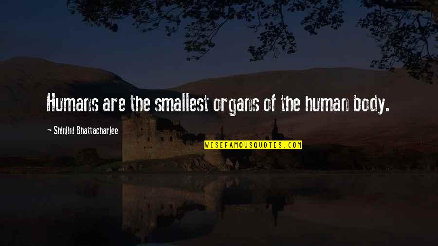 Human Body Nature Quotes By Shinjini Bhattacharjee: Humans are the smallest organs of the human