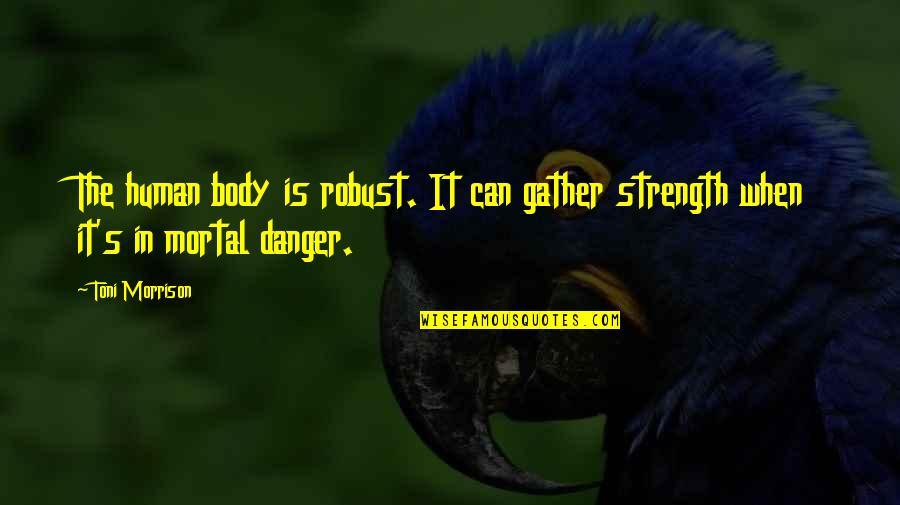 Human Body Strength Quotes By Toni Morrison: The human body is robust. It can gather